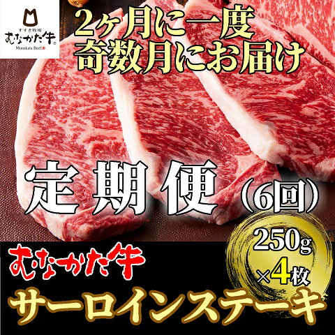 【奇数月にお届け】むなかた牛サーロインステーキ 1kg（250g×4枚）定期便【すすき牧場】_HB0120 送料無料