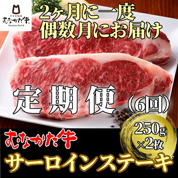 【偶数月にお届け】むなかた牛サーロインステーキ 500g（250g×2枚）定期便【すすき牧場】_HB0121　送料無料