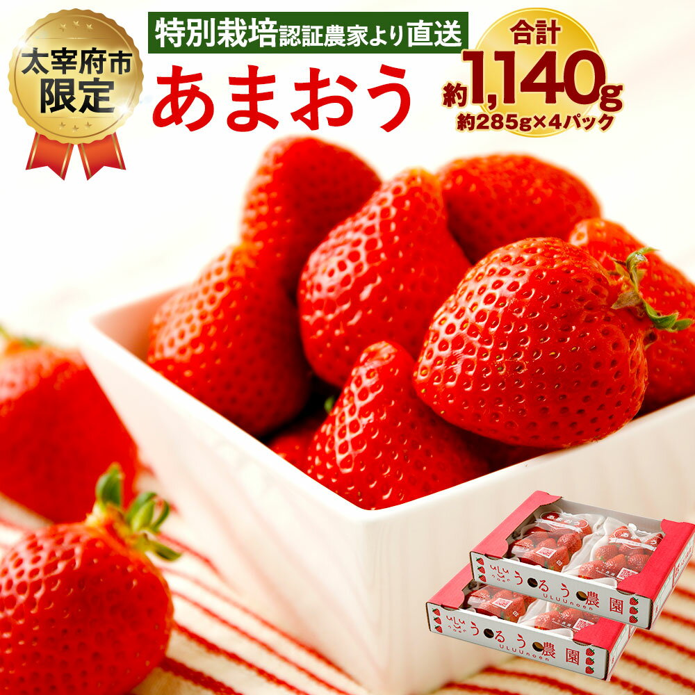 アイテムID:476231の画像