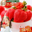 1位! 口コミ数「388件」評価「3.73」予約 【TVで紹介!】【特別栽培/有機質肥料/アフター保証】 あまおう <選べる 種類・容量> 約400g~合計約1710g デラックス/エクセレントサイズなど【2025年12月上旬又は2026年1月・・・