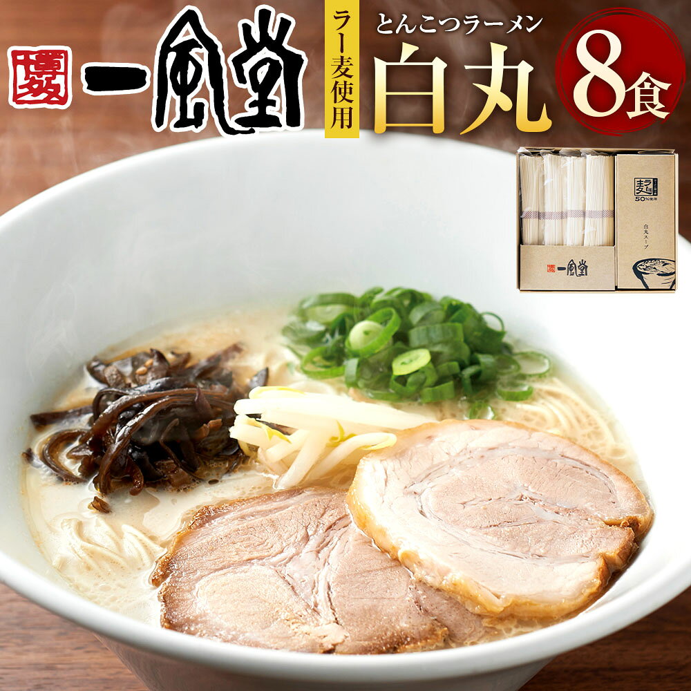 ラー麦使用 「一風堂」 とんこつラーメン 白丸 8食セット 計920g 豚骨ラーメン 拉麵 らーめん 豚骨 とんこつ トンコツ ストレート麺 絹ごし 麵類 スープ 惣菜 博多ラーメン 九州 福岡県 太宰府市 送料無料