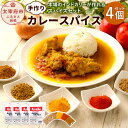 【ふるさと納税】手作り カレー ス