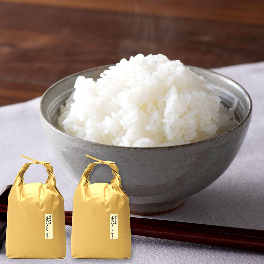 [選べる 白米 玄米] 福岡県産 [特A]評価のお米「元気つくし」 合計10kg 5kg×2袋 精米 ご飯 お米 九州産 国産 送料無料
