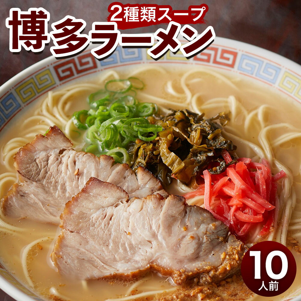 【ふるさと納税】博多ラーメン 10人前 極細 ストレート麺 