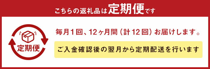 【ふるさと納税】12ヶ月定期便 一蘭 至高の逸品そろい踏み 一蘭ラーメン食べ比べセット（ちぢれ麺、細麺） 各5食×各2セット 12回お届け 計240食 ちぢれ麺 細麺 ラーメン セット とんこつラーメン 豚骨 博多ラーメン 定期便 送料無料