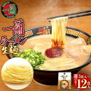 【ふるさと納税】<選べる 容量>一蘭ラーメン 生麺セット 3食入/6食入/12食セット 1箱3食入 とんこつラーメン 一蘭 生麺 有名店 専門店 ラーメン 豚骨 トンコツ 博多ラーメン インスタントラーメン お取り寄せ 九州 グルメ 常温 送料無料