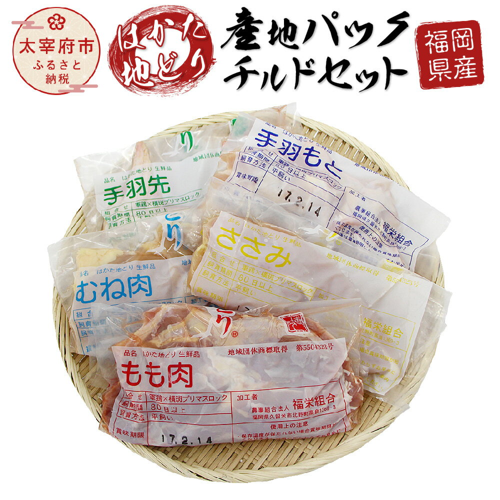 yӂ邳Ɣ[ŁzY ͂nǂ YnpbN `hZbg  2 500g l 250g TT~ 200g H 300g H 300g Y BY  {  