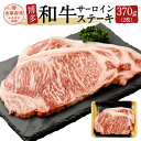 【ふるさと納税】博多和牛サーロインステーキ 370g 2枚 牛肉 お肉 ジューシー 高級 国産 九州産 送料無料 冷凍