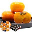 【ふるさと納税】<予約>ブランド柿「秋王」約3.5kg 6個~14個入り 【2025年10月下旬~11月下旬発送予定】 かき カキ 柿 果物 フルーツ 旬 お取り寄せ 国産 福岡県 九州 冷蔵配送 送料無料