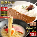 【ふるさと納税】博多和牛 レトルト カレー 10人前 ＆ と