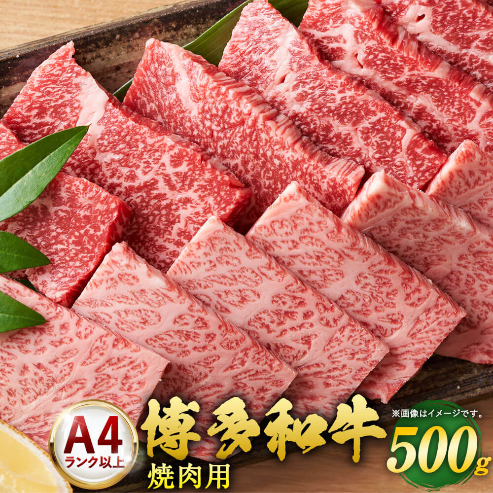 【ふるさと納税】博多和牛 焼肉用 500g×1 A4以上 福