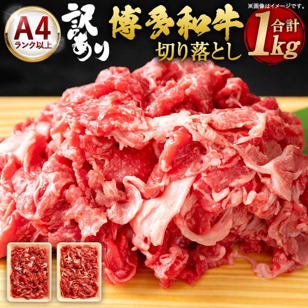 yӂ邳Ɣ[Łzyʌzy󂠂za ؂藎Ƃ v1000g 500g~2pbN A4Nȏ  ̓o 1kg Y BY Y јa Iׂ锭  a ؗ   O Ⓚ 