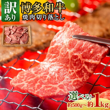 ＜選べる容量＞訳あり！博多和牛 焼肉 切り落とし 合計約1kg または 約500g 1パック約500g 国産 九州産 福岡県産 黒毛和牛 肩ロースまたはバラ お取り寄せ 牛肉 切落し 切り落し 焼き肉 BBQ お肉 冷凍 送料無料