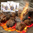 【ふるさと納税】はかた地どり 炭火焼セット 合計500g 100g×5パック 福岡県産 九州産 国産 炭火焼き 地鶏 地鶏肉 鶏肉 炭火やき 小分け お肉 肉 ...