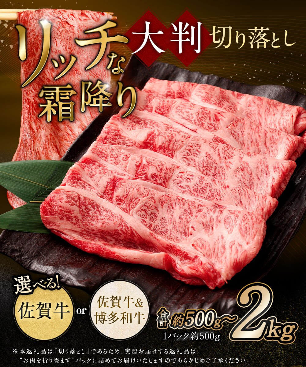 【ふるさと納税】「寄附額改定↓」【2025年9月初登場】＜選べる 種類・容量・発送月＞ 佐賀牛 佐賀牛＆博多和牛 リッチな霜降り 大判切り落とし 約500g ～ 計約2kg 黒毛和牛 牛肉 肉 お肉 肩ロース モモ 肩 冷凍 国産 福岡県 太宰府市 9000円 ～ 342000円 9千円 ～ 3万2000円
