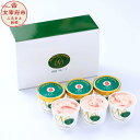 【ふるさと納税】福岡県産 あまおうジェラート 合計600ml 100ml×6個 あまおう いちご 苺 フルーツ 果物 九州産 国産 アイス スイーツ お取り寄せ 冷凍 送料無料【2026年4月上旬より順次発送予定】