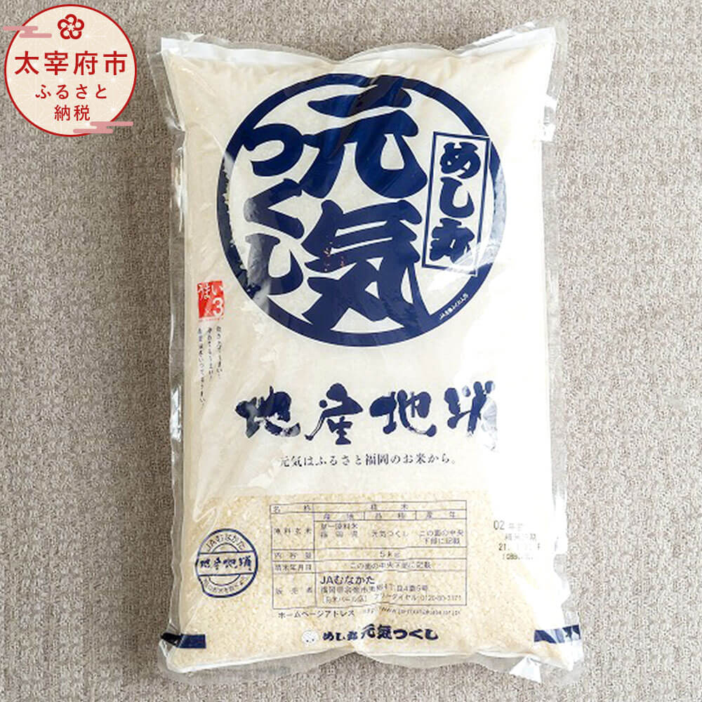 福岡の美味しいお米 元気つくし 5kg 福岡県産 令和5年産 九州産 国産 精米 お米 白米 ご飯 5キロ 送料無料