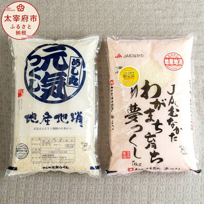 福岡の美味しいお米 夢つくし＆元気つくし 合計10kg 5kg×各1 福岡県産 令和5年産 2種 セット 食べ比べ 九州産 国産 精米 お米 白米 ご飯 10キロ 送料無料