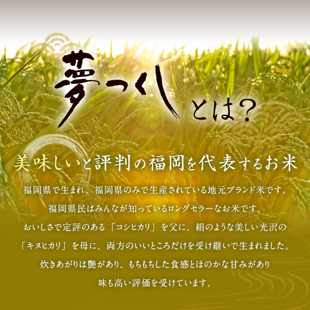 【ふるさと納税】夢つくし 玄米 PREMIUMパック 160g×24パック ＜選べる 回数＞ 定期便 3ヶ月 6ヶ月 12ヶ月 パックご飯 玄米パック ブランド米 パックライス 非常食 保存食 インスタント 福岡県産 レンジ 常温 福岡県産米 福岡県 太宰府市 送料無料