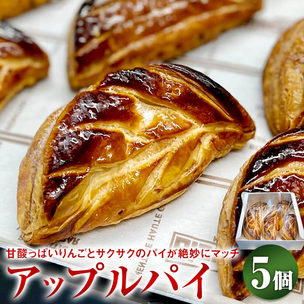 アップルパイ 5個入り りんご 菓子 パイ生地 セット お菓子 焼き菓子 お取り寄せ スイーツ デザート 個包装 リンゴ 林檎 洋菓子 冷凍 送料無料