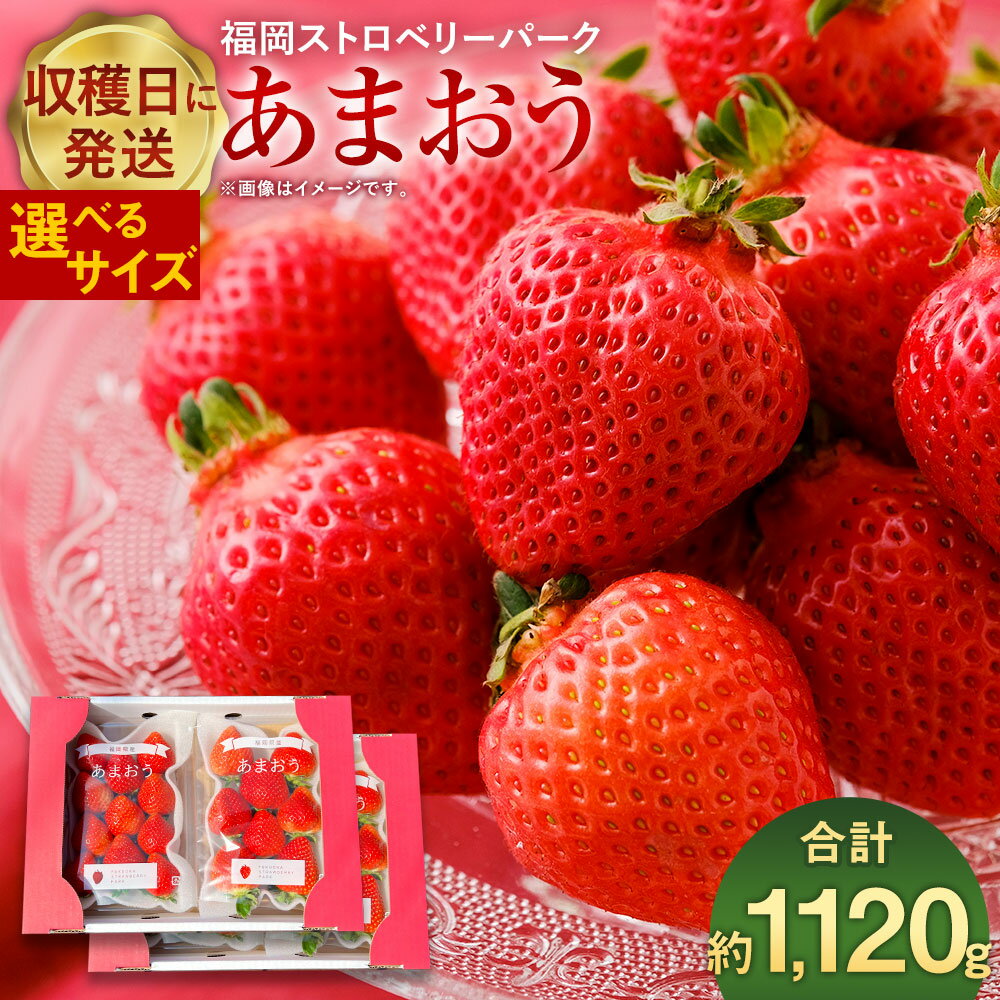 【ふるさと納税】予約 【2024年1月上旬より順次発送】いちごの王様 あまおう 約280g×4パック 合計約1120g 粒数・大きさはおまかせ いちご イチゴ 苺 朝採り フルーツ 果物 福岡県産 九州産 国産 冷蔵配送 送料無料のサムネイル
