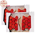 【ふるさと納税】 <予約>あまおうDX 合計約1120g 約280g×4パック 【2026年2月上旬~4月上旬発送予定】 1kg以上 デラックス あまおう いちご フルーツ 果物 旬 イチゴ 苺 福岡県産 九州産 国産 冷蔵配送 送料無料