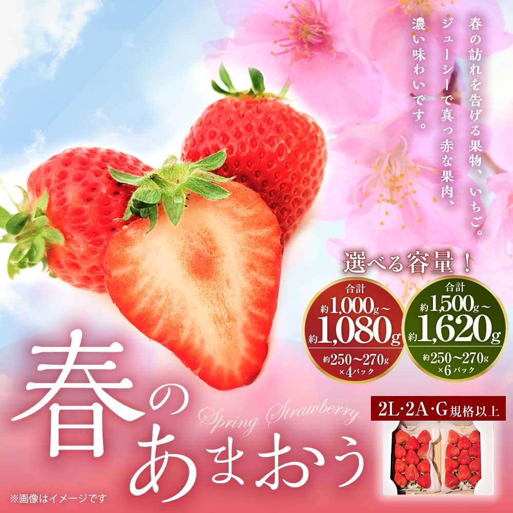 【ふるさと納税】＜予約＞【選べる 容量】春のあまおう 合計約1000～1080g／1500～1620g 1パック約250～270g 4パック／6パック 2L・2A・G規格以上 【2026年3月上旬～4月下旬発送予定】 あまおう いちご 旬 果物 フルーツ 福岡県産 冷蔵配送 送料無料