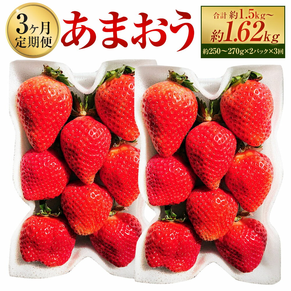 [3ヶ月定期便]あまおう 1回あたり2パック 1パック約250〜270g 1ヶ月毎 3回 計6パック(2パック×3回) いちご イチゴ 苺 くだもの 果物 果実 フルーツ 冷蔵 福岡県産 国産 九州 福岡県 太宰府市 送料無料 [2026年2月上旬〜4月上旬発送予定]