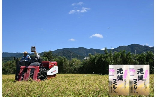 【元気つくし】古賀で育ったおいしいお米＜10kg＞