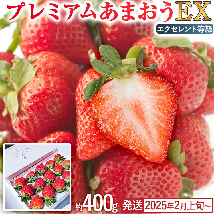【ふるさと納税】プレミアム あまおう EX(化粧箱入り)いちご フルーツ 果物 あまおう 約400g×1パック 福岡 苺 イチゴ 化粧箱 【発送時期2025年2月上旬~2025年4月上旬】