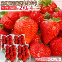 【ふるさと納税】産地直送厳選あまおう 4パックセット(G,2L,2A規格以上)【数量限定】いちご フルーツ 果物 あまおう 約270g×4パック 福岡 苺 イチゴ 【発送時期2026年1月上旬~2026年月4月上旬】