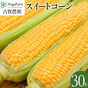 【ふるさと納税】 朝採り スイートコーン 30本 朝採り 高糖度 期間限定 甘い あまい フルーツ並 朝どり 朝採れ 朝どれ スイートコーン コーン 旬 とうもろこし 農家直送 野菜 自宅用 家庭用 トウモロコシ