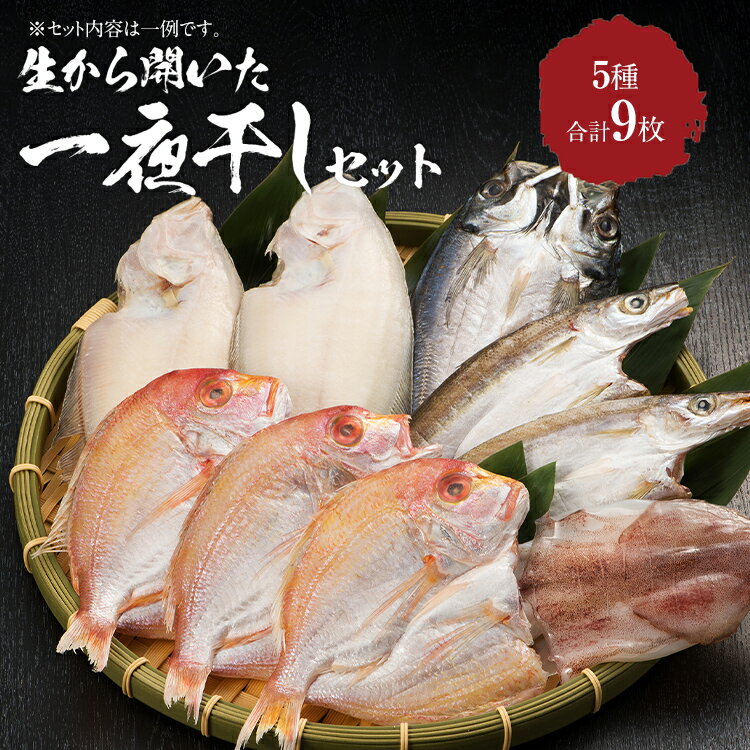 【ふるさと納税】生から開いた一夜干しセット 5種9枚 干物 冷凍 5種類 アジ 連子鯛 カマス 水カレイ ヤリイカ 送料無料