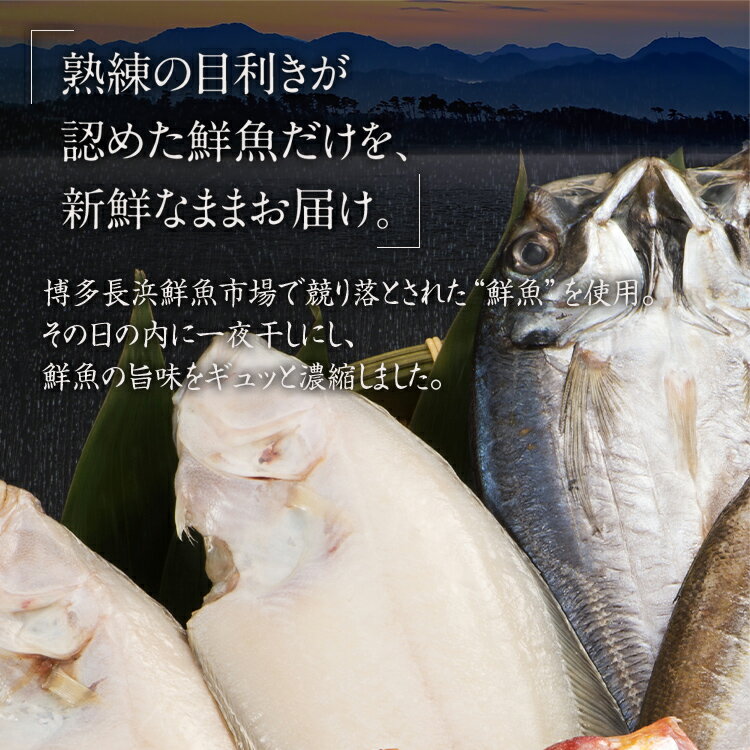 【ふるさと納税】生から開いた一夜干しセット 5種9枚 干物 冷凍 5種類 アジ 連子鯛 カマス 水カレイ ヤリイカ 送料無料