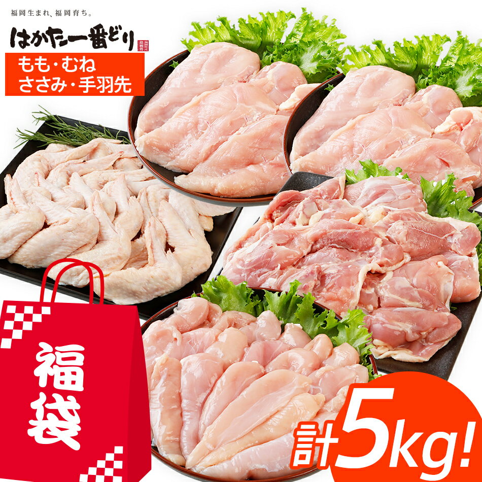 30位! 口コミ数「0件」評価「0」訳あり はかた一番どり 福袋セット 計5kg 鶏肉 福袋 お取り寄せグルメ お取り寄せ 福岡 お土産 九州 福岡土産 取り寄せ グルメ 福岡･･･ 