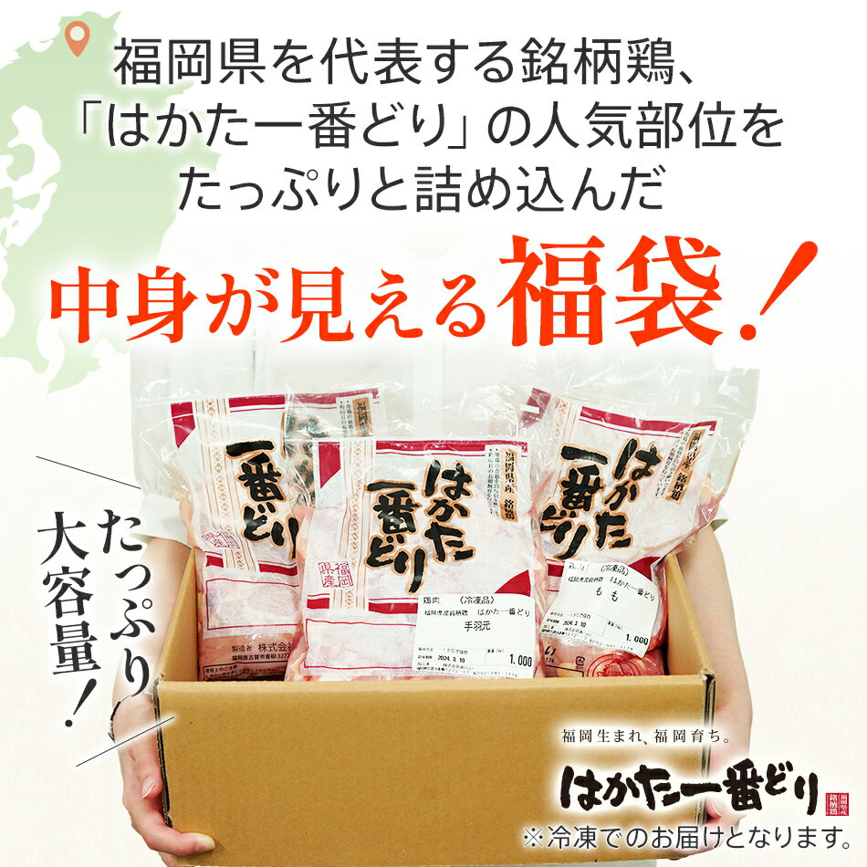 【ふるさと納税】訳あり はかた一番どり 福袋セット 計3kg 鶏肉 福袋 お取り寄せグルメ お取り寄せ 福岡 お土産 九州 福岡土産 取り寄せ グルメ 福岡県 古賀市