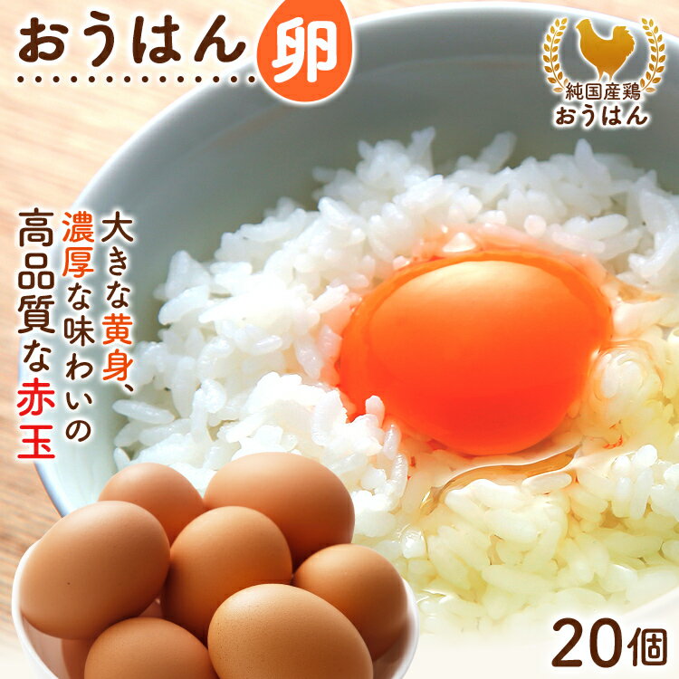 【ふるさと納税】純国産鶏の卵 おうはん卵 20個入り 卵 生卵 たまご タマゴ 玉子 赤玉 青柳たまご 福岡 送料無料