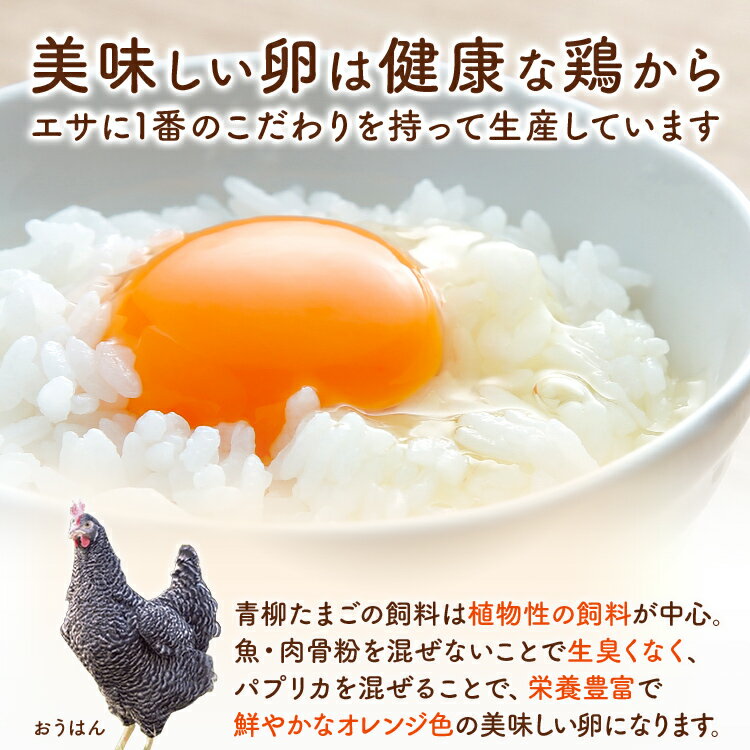 【ふるさと納税】純国産鶏の卵 おうはん卵 20...の紹介画像3