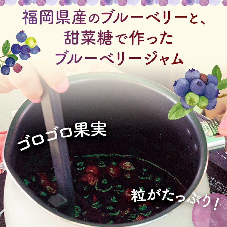 【ふるさと納税】ブルーベリージャム (2個)＆ ビネガー(1本) セット ブルーベリー ビネガー ジャム パン お酢 酢 朝食 かき氷果実酢 お取り寄せグルメ お取り寄せ 福岡 お土産 九州 福岡土産 取り寄せ グルメ 福岡県