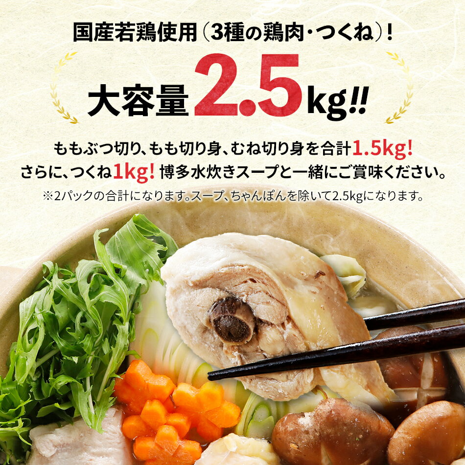 【ふるさと納税】【訳あり 賞味期限2023年9月20日】 博多水炊き 10人前（5人前×2セット） 鶏肉2.5kg ももぶつ切り もも切り身 むね切り身 つくね ラー麦使用 ちゃんぽん麺 国産 大容量 お取り寄せ 水炊き 水炊きセット 鍋セット 九州 グルメ 古賀市 楽天限定返礼品