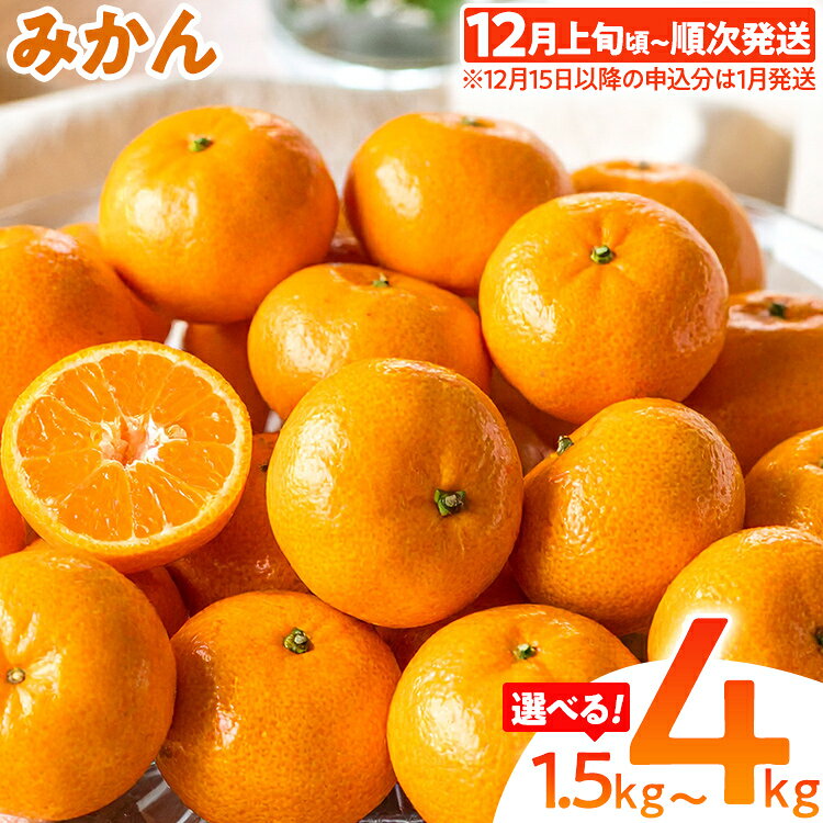期間限定 みかん フルーツ 果物 くだもの 選べる 1.5kg 4kg 柑橘 甘い 濃厚 ジューシー 産地直送 デザート おやつ オレンジ 福岡県 福岡 九州 グルメ お取り寄せ [12月上旬頃から順次発送]