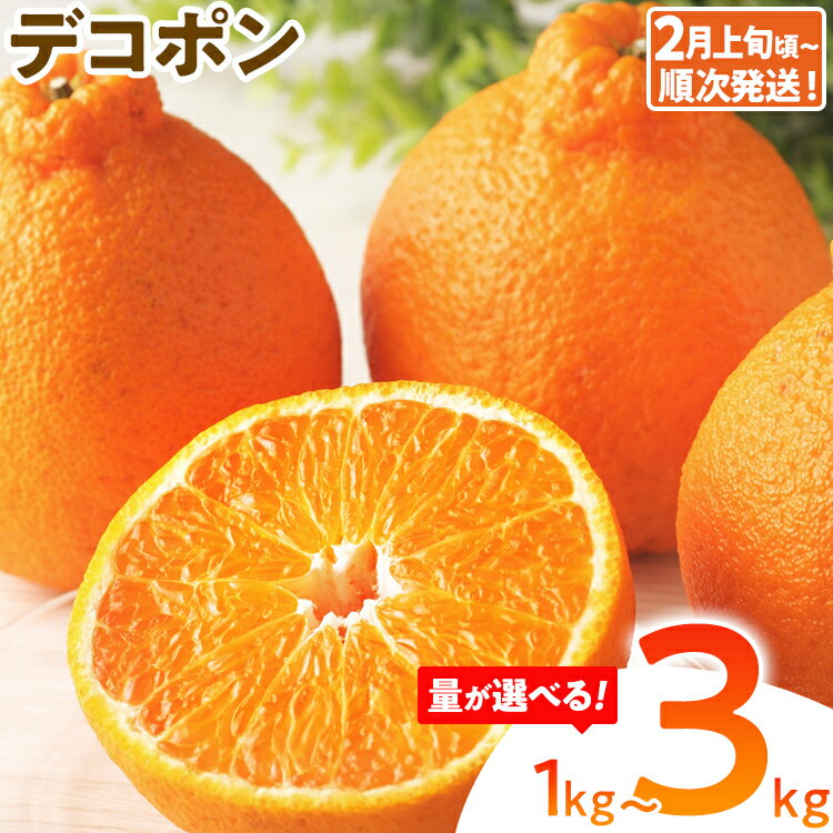 期間限定 デコポン フルーツ 果物 くだもの 選べる 1kg 3kg 柑橘 甘い 濃厚 ジューシー 産地直送 デザート おやつ オレンジ 福岡県 福岡 九州 グルメ お取り寄せ [2月上旬頃から順次発送]