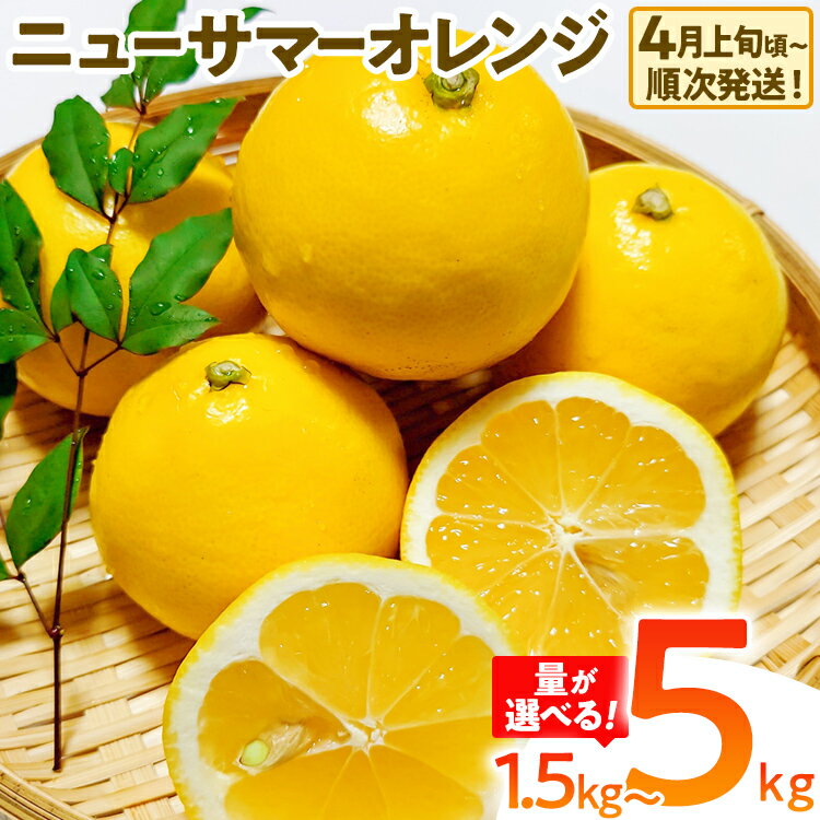 期間限定 ニューサマーオレンジ 日向夏 オレンジ フルーツ 果物 くだもの 選べる 1.5kg 5kg 柑橘 甘い 濃厚 ジューシー 産地直送 デザート おやつ 福岡県 福岡 九州 グルメ お取り寄せ [4月上旬頃から順次発送]