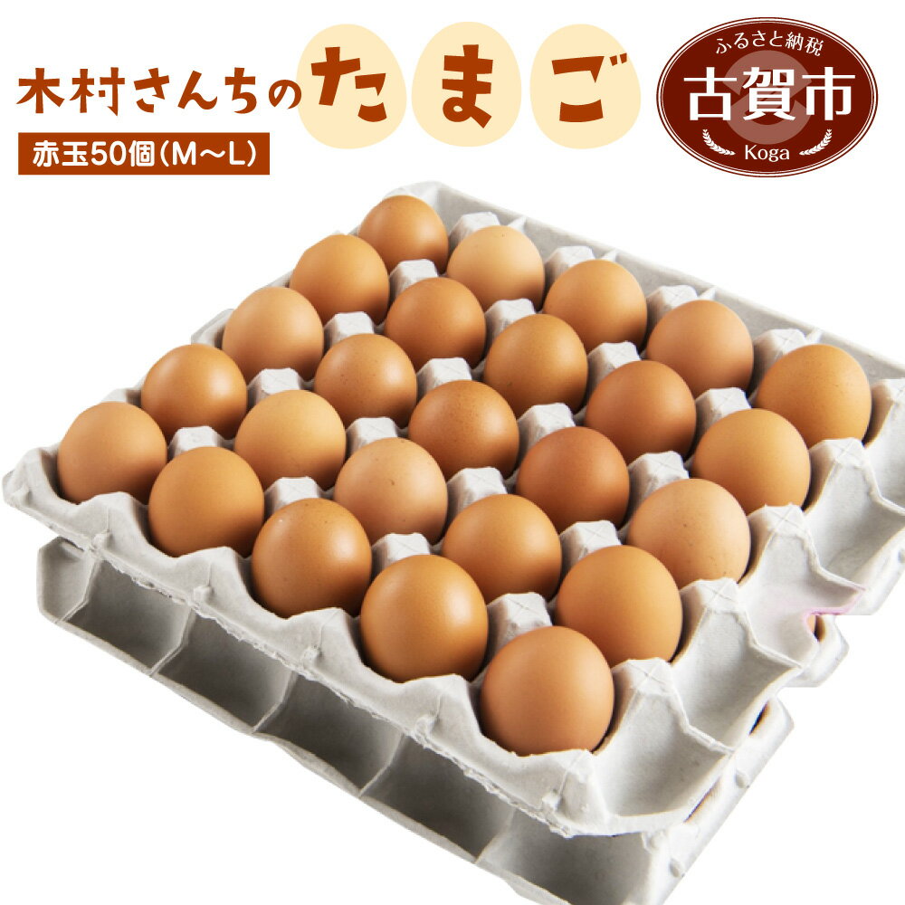 【ふるさと納税】木村さんちのたまご 赤玉50個 （M〜L） 九州産 卵 玉子 玉子焼き たまごかけごはん 生卵 濃厚卵 鶏卵 送料無料のサムネイル