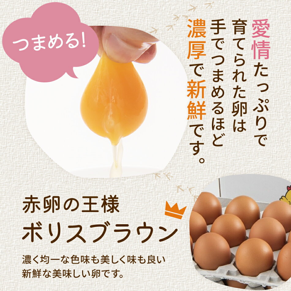 【ふるさと納税】木村さんちのたまご 赤玉50個 （M〜L） 九州産 卵 玉子 玉子焼き たまごかけごはん 生卵 濃厚卵 鶏卵 送料無料