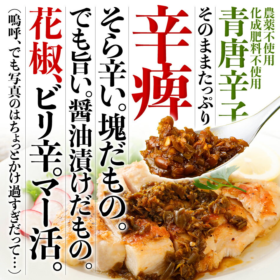 【ふるさと納税】調味料 万能調味料 食べ比べ 食べる唐辛子 青唐辛子 TABERU～国産青唐辛子と醤油と花椒～,～花椒BOOST～ 2個セット 農薬不使用 化成肥料不使用