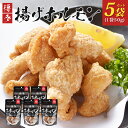 【ふるさと納税】博多揚げホルモン(5袋セット) ホルモン 国産豚 唐揚げ おつまみ 送料無料 1