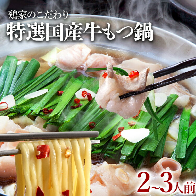 【ふるさと納税】特選「鶏家」もつ鍋セット(2〜3人前) ふるさと納税用セット モツ鍋 牛ホルモン もつなべ ホルモン鍋 牛モツ モツ もつ鍋 博多もつ鍋 牛もつ鍋 鍋セット 冷凍 送料無料