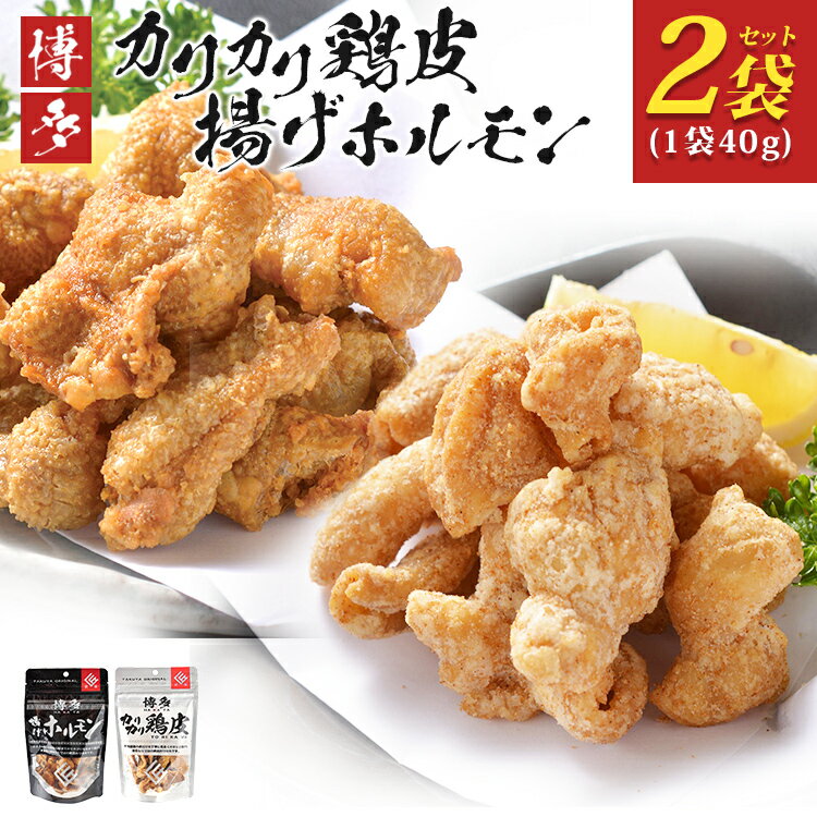 博多 カリカリ鶏皮 揚げホルモン 合計2袋 おつまみ 鶏皮 とりかわ とり皮 国産鶏 国産豚 唐揚げ ホルモン 福岡県 福岡 九州 グルメ お取り寄せ メール便(ポスト投函)