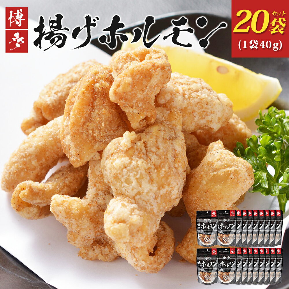 【ふるさと納税】博多揚げホルモン(20袋セット) ホルモン 国産豚 唐揚げ おつまみ 送料無料